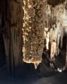 3. Tantanoola Caves
