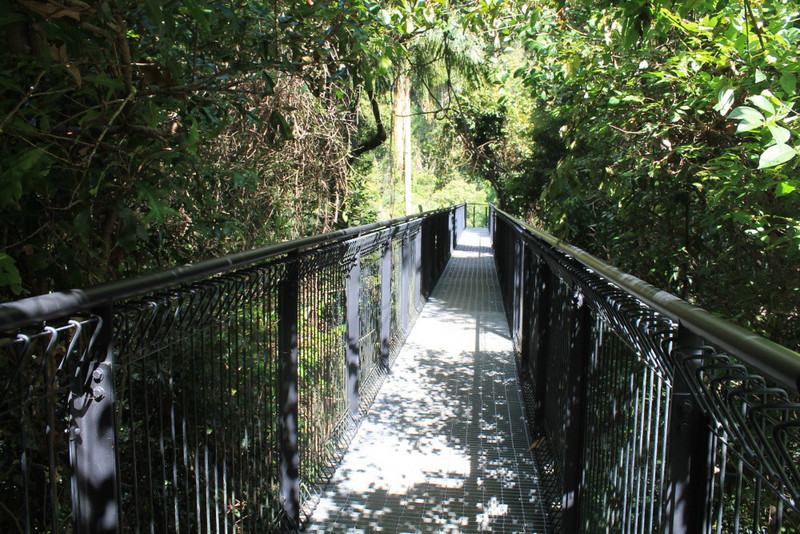 8. Mt Tamborine Walkway