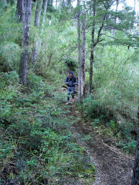 Sam On The Bamboo Trail