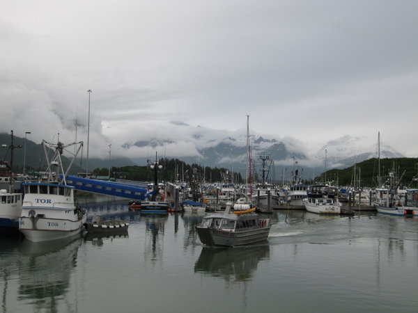 Valdez Harbor