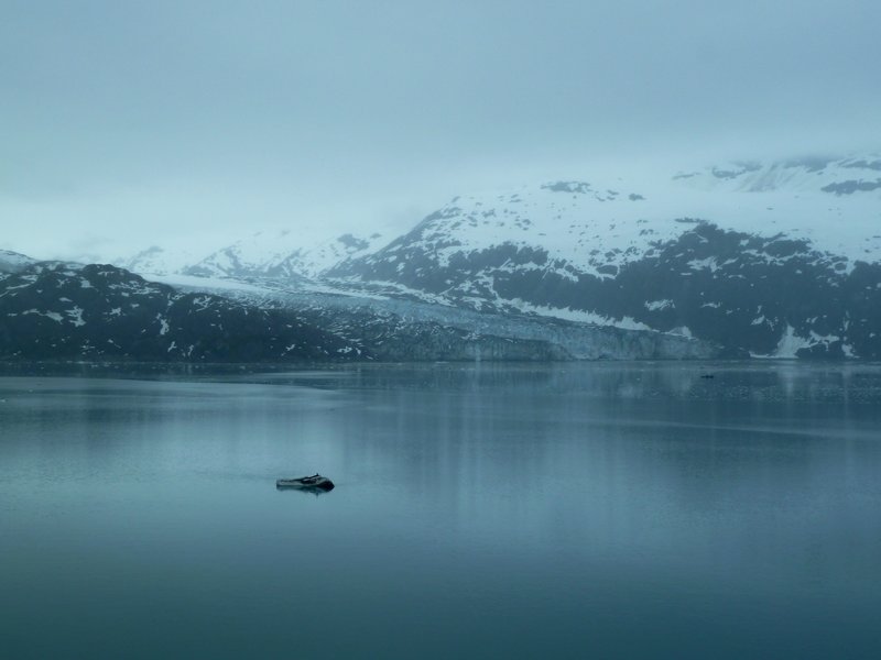 Lamplugh Glacier