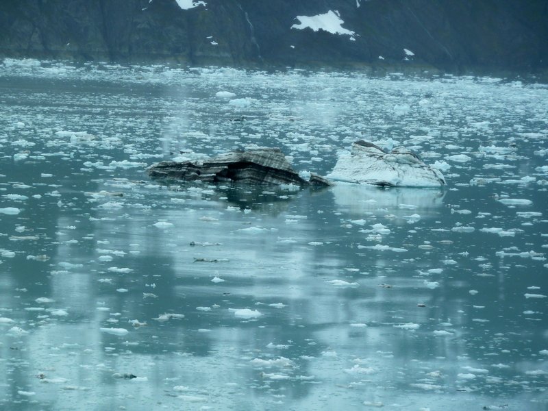 Icebergs in Glacier Bay