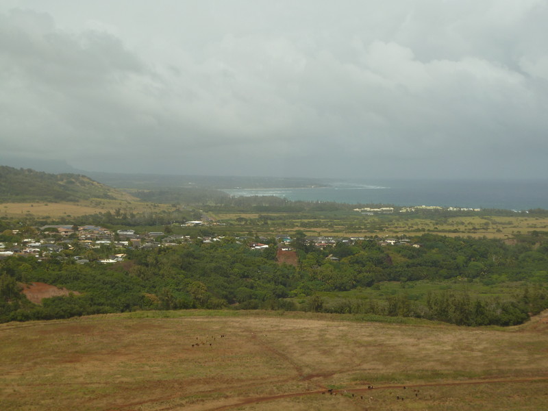 Kauai (33)