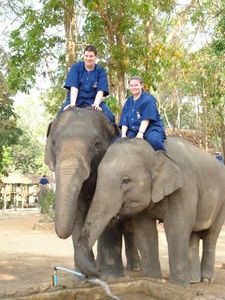 Thai Elephant Conservation Centre
