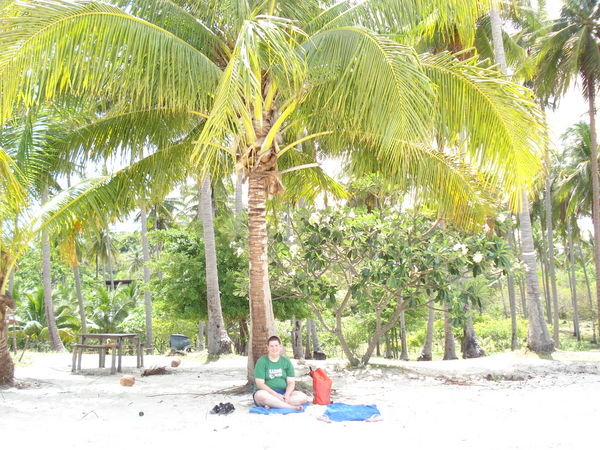 Stu sat under palm tree on beach