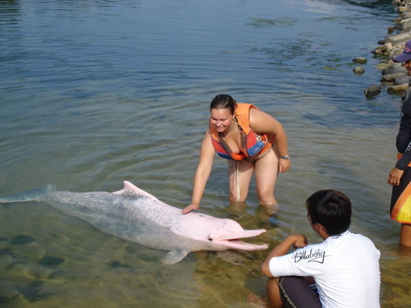 Dolphin Lagoon
