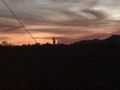 Saguaro against the sunset