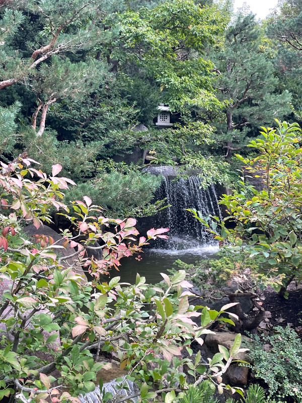 The waterfalls add to the tranquility of the gardens