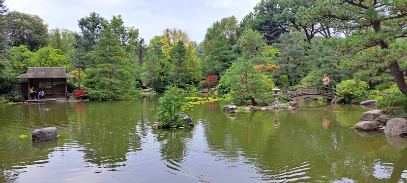 Pond in the center of the garden