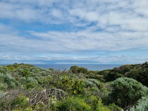 View from Cape Naturaliste Trail