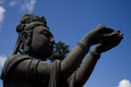 Buddha aanbidster
