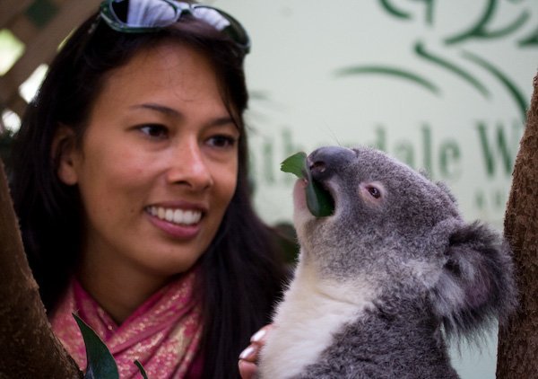 Sylvia aait een koala