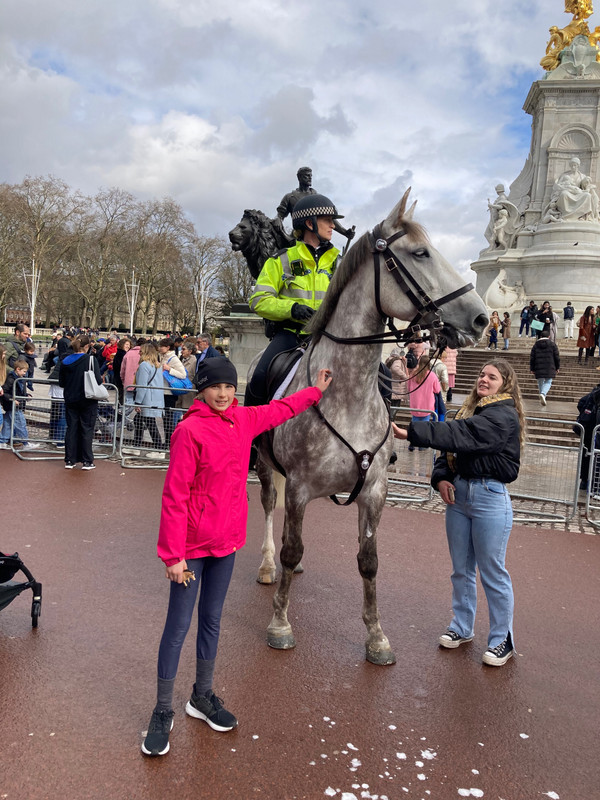 London Police Horse