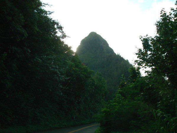 Mountain, from the Road