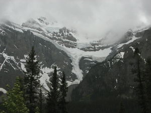 One of many glaciers