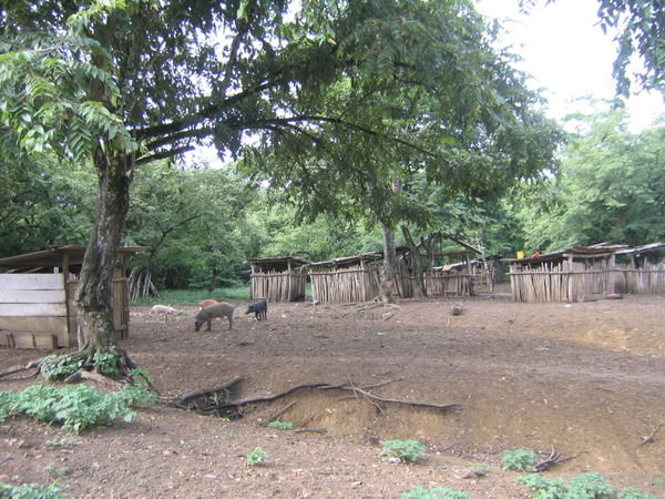 Casas de Puercos (Pig Houses)