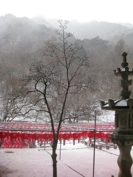 Snowing at Temple- 대전