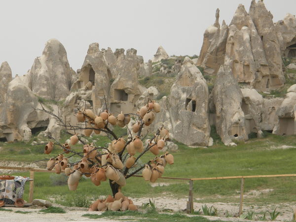 Goreme-Pots apparently grow on trees