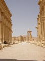 Collonaded Street-Palmyra