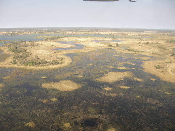Okavango from the air