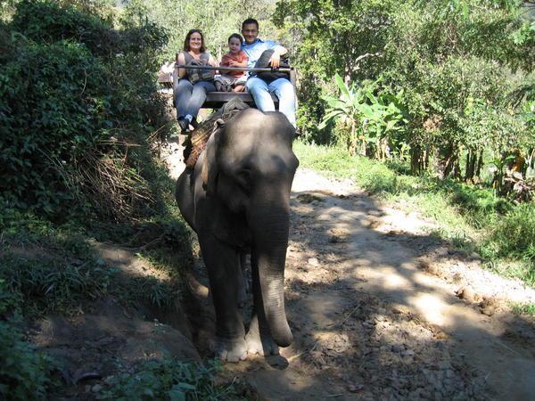 Riding the Elephant
