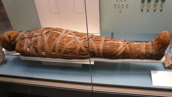 British Museum Mummy