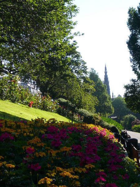 View of Sir Walter Scott monument from the gardens