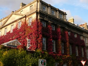 Gorgeous Red Ivy-Covered Building