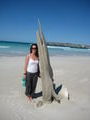 Whale bone wedged in the sand