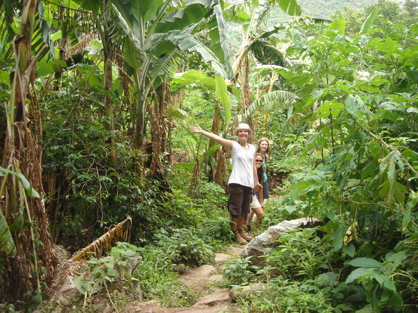 Walking amongst the banana plantations