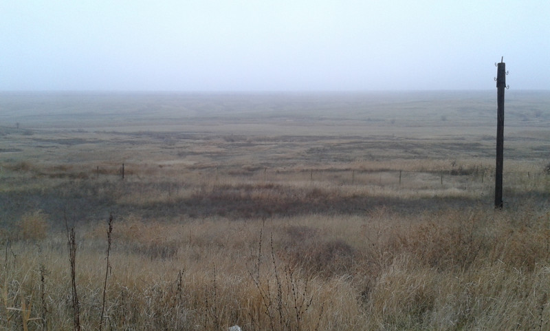 La nebbia nella steppa