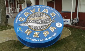 Il pregiato caviale di Astrakhan