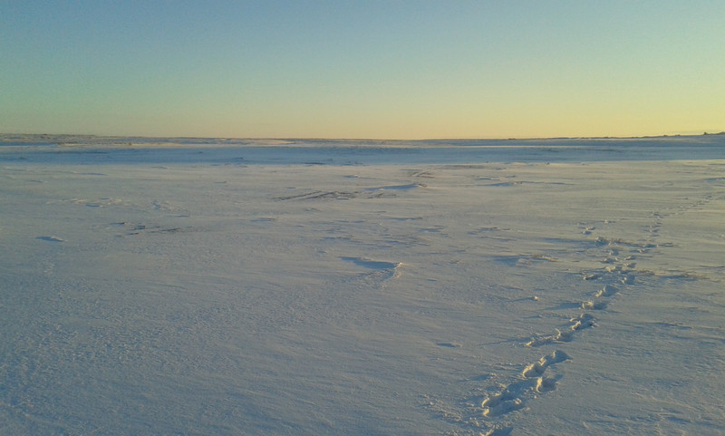 Aralsk: 4 passi nel letto del lago