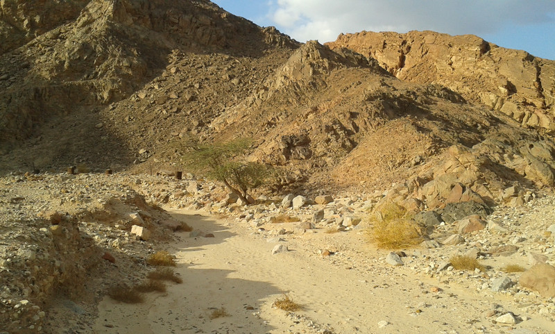 Due passi nel deserto