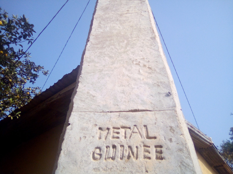 Metal Guinea