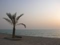 Il Golfo Persico
