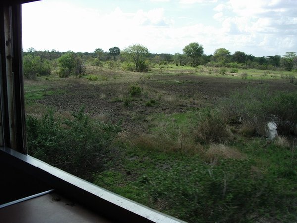 In safari a bordo di un treno