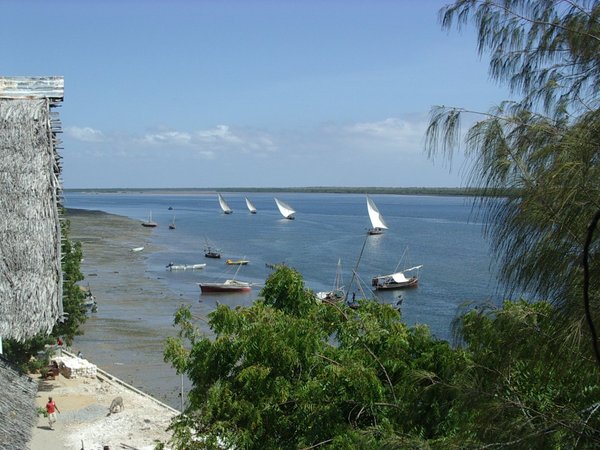Lamu: dhow per viaggiare in mare