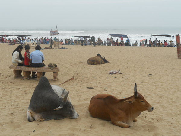 Puri: Le regine della spiaggia