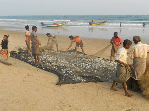 I pescatori del villaggio si sono guadagnati la giornata.