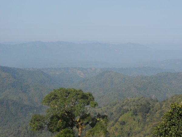 Le dolci colline del Mizoram