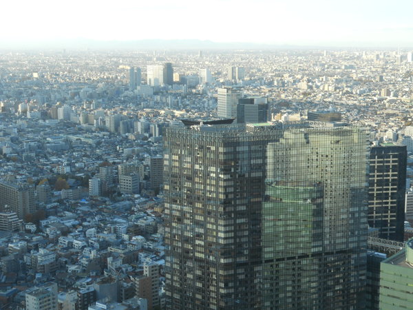 Tokyo vista dal 45simo piano