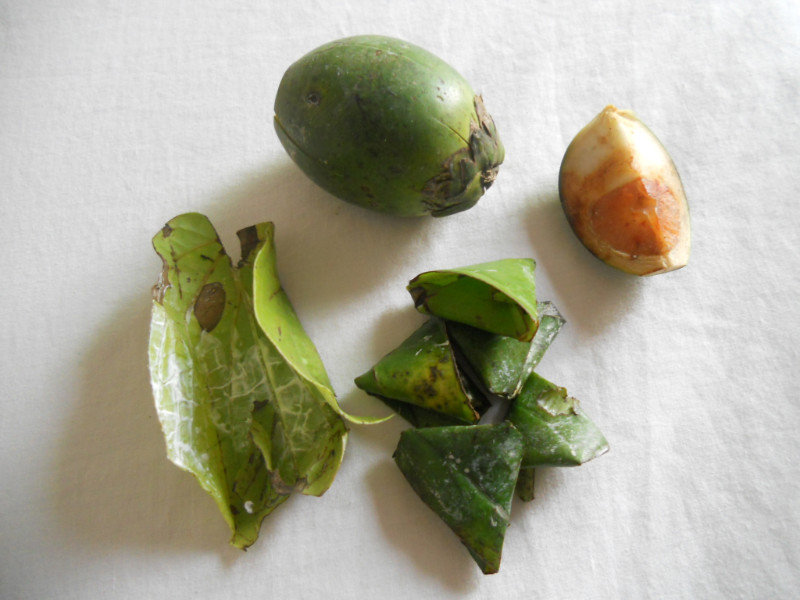 Noce di areca e foglie di betel: paan!