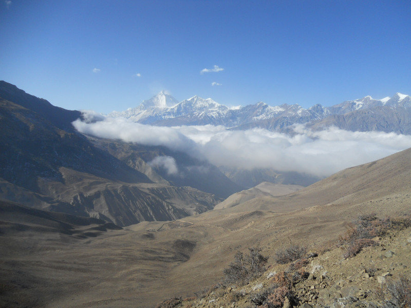 La cima del Dhaulagiri (8172m) visto dal Mustang