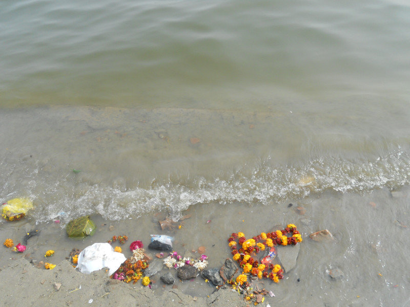 Le sacre acque del Gange