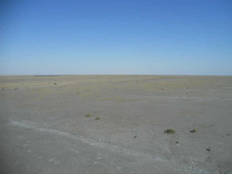 Deserto del Kachchh
