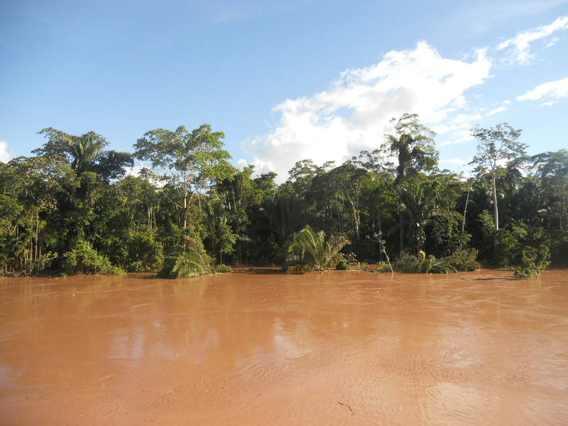 Le acque marroni del Rio Huallaga