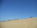 Tutti sulla duna!