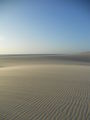 Dune!