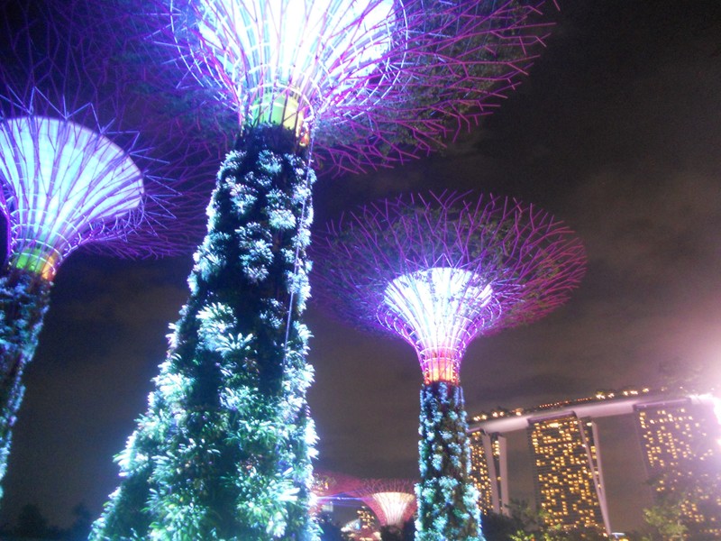 Singapore: alberi della vita